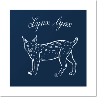 Lynx (Lynx lynx) Posters and Art